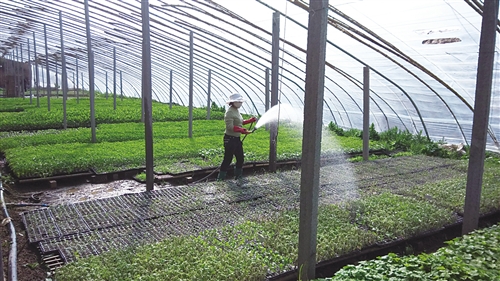 ���ɹţ�רҵ������ �á�ũҵ��Ƭ���߳�����