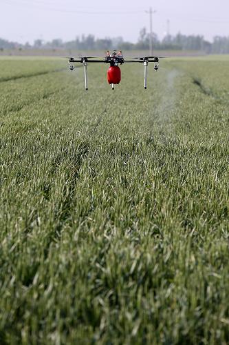 5��6�գ�һ������ֲ�����ںӱ�ʡ��Ƥ�ض��岦����ʾ��������ũҩ��