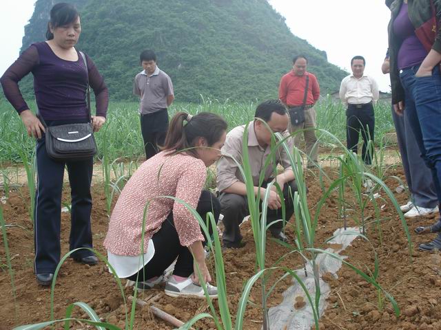 �������£���ǿ����������������