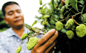 ���Ϻ��ڣ��޺���֦�ѹ�����ר�ҡ�����