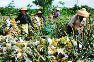 ���ϲ��ܲ�ҵ׳������ȫ�����ع���