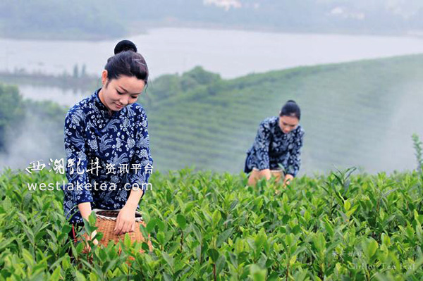 �������ز�ũ�б�������ľ��� ��Ҷ��ҵ���پ���