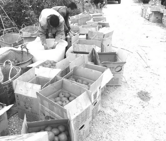 ����������������ջ�