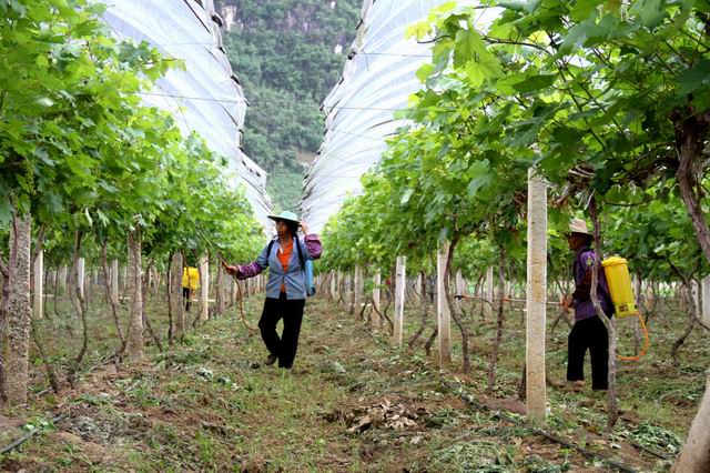 ���������أ���������ʱ�ڹ���æ