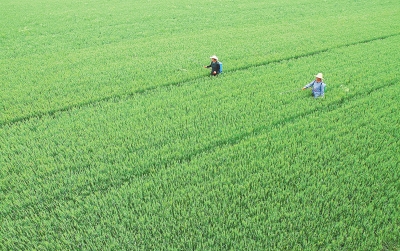 ����ʡ8000����ĶС����ϲ��