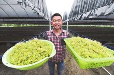 ʯ���������ͣ�����ɺ�ҩ�ü�ֵ��