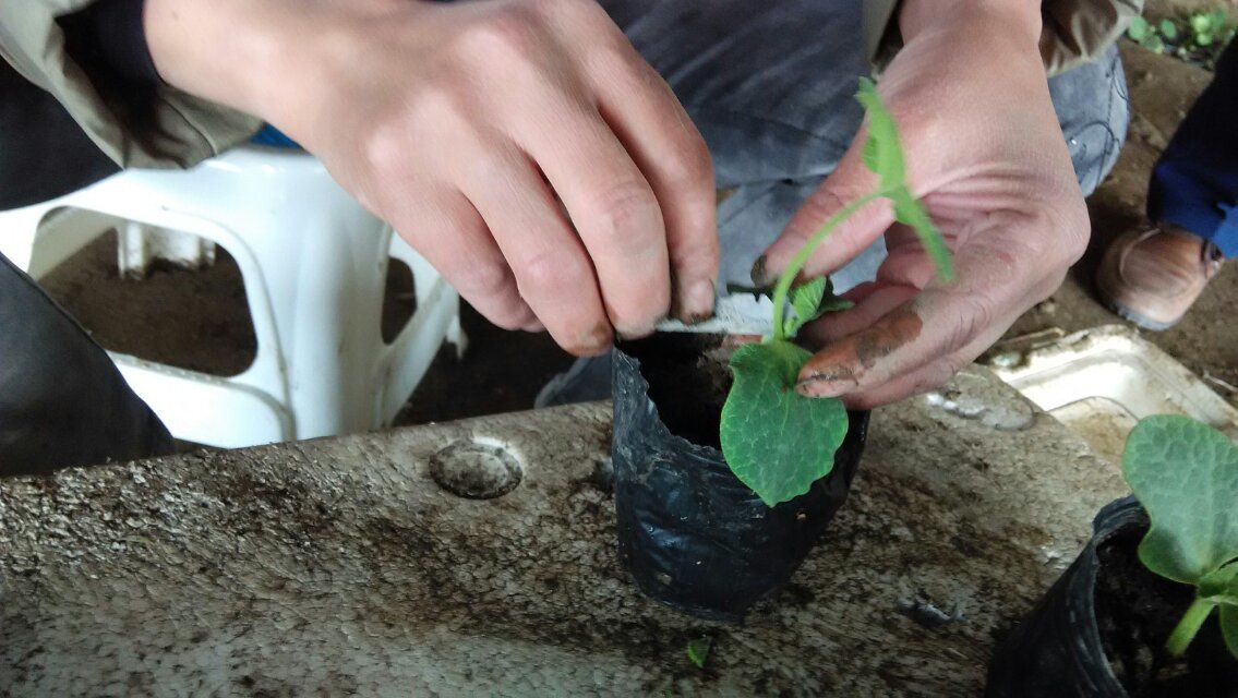 ½ţϹϼ޽ӹܹ仧һһ