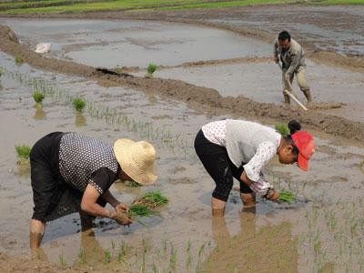 ���ϲ�Դ����ﵽ������һ���������ֵķ�æ����