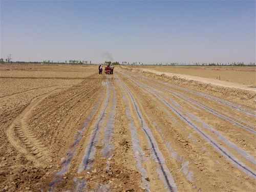 ���ɹ���ԭ������ȫ��Ĥ�����������Բ���