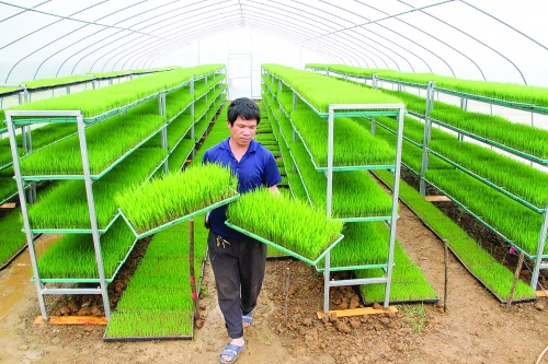 �������֣���˷���ԡ������������ɹ�