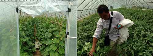 ���϶����������ƽ�ũҵ��׼������ Ŭ������ũ��Ʒ������ȫˮƽ