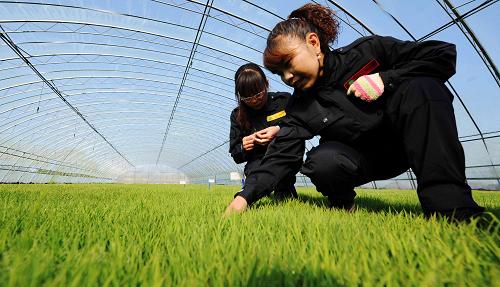 59գںʡһũԱڼ硣