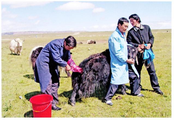 �ຣ��������ɫũ��ҵ��������