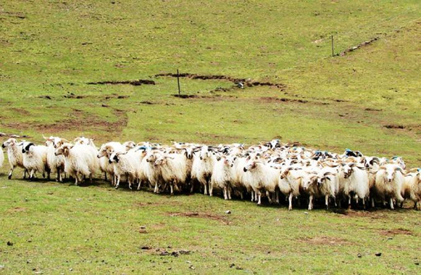 �˺��ز�ϵ��Ʒ�ַ���������Ⱥ