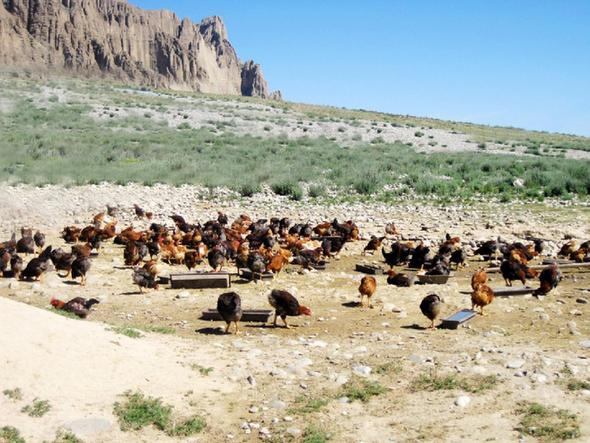 �˺��ط���������