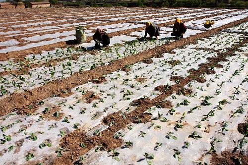 512գʡаڹӪũֲ硣