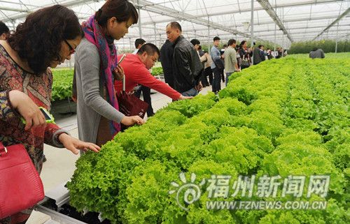 �������ݸ�������ʾ��ũ���������� ����ƽֻ��6��8�˹�