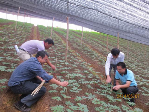 �����ﶫ�����߳���ϲ��