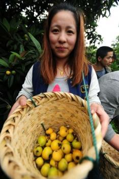 ݶɽɳӭش 20պÿ20Ԫ