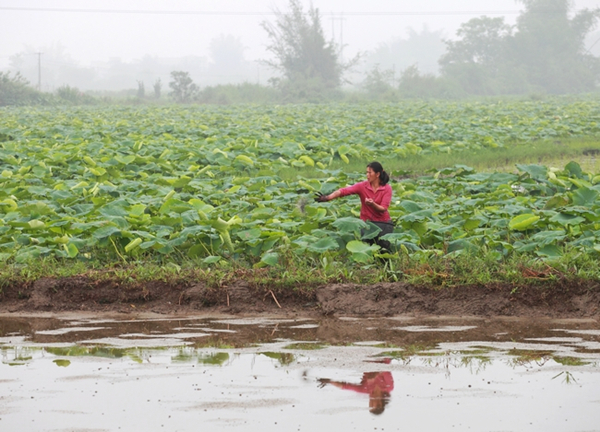 ����������2���Ķ��ź��׷��