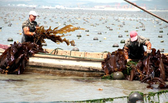 ɽ������15��Ķ���������ո��� ������׷��գ�������