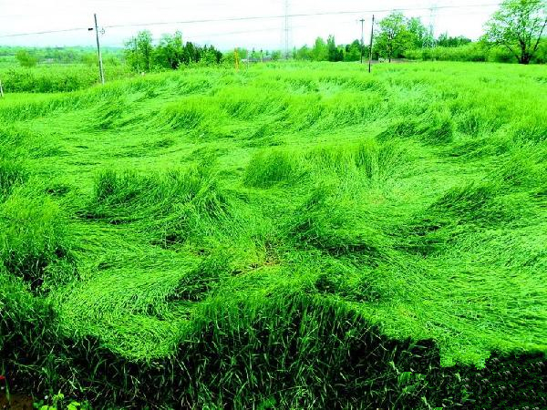 �������в���С����ֵ��� ��ܫС�󵹷����ո�