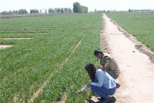 ���ɹ�����ؿƼ���Ա����һ�ߵ���С���������