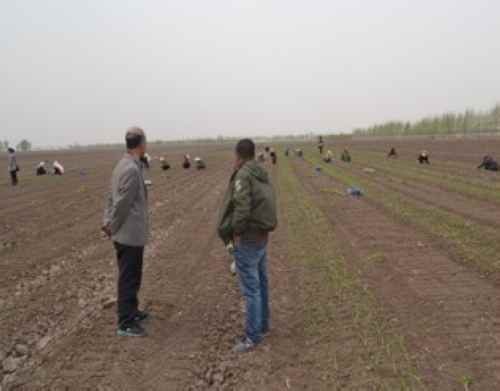 ���ɹ�ͨ�ɿ���������ʩũҵ���������ʾ�������ֳ�ָ�������ֲ����