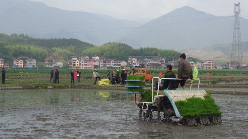 ֳǾٰˮȫ̻еֳѵʾ