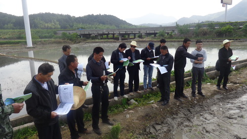 ֳǾٰˮȫ̻еֳѵʾ2