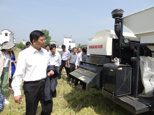 �������أ��Ͳ˻�������Ч