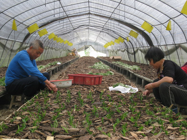 ����������ʤ��������Ʒ�֡�����Ƥʯ������