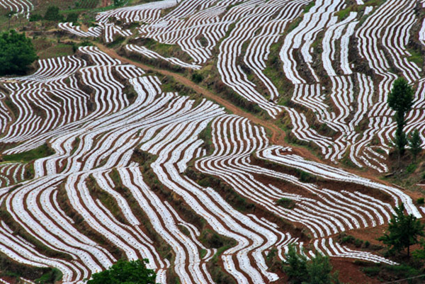 513ڹʡضũøĤʽֲũ