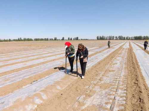 2014�����ɹ�������ǰ����Ķũҵ�Ƽ�԰������ʾ�������ֹ���˳������