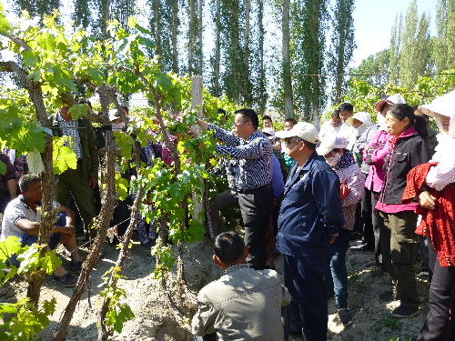 ½ţҵרѹ 124ְܡƼ͡