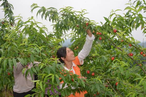 �������֣���������������