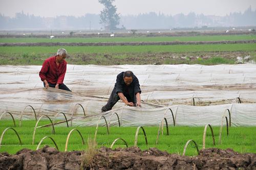 517գػũרҵĹԱڽǰΪϱĤ