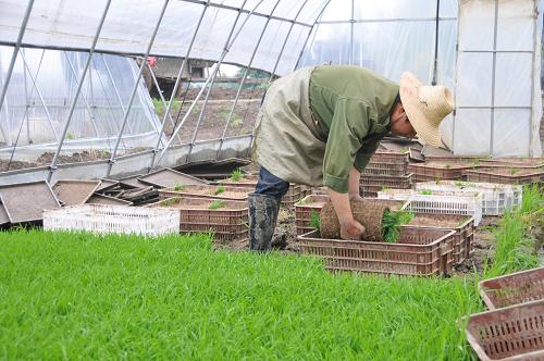 517գظˮרҵЪڵһĹԱװ硣