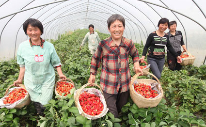 ���ջ��ϣ������ա���ݮԶ��ȫ������