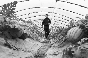 Ϻϻ㣺Ե㡰ͬмܡ8424