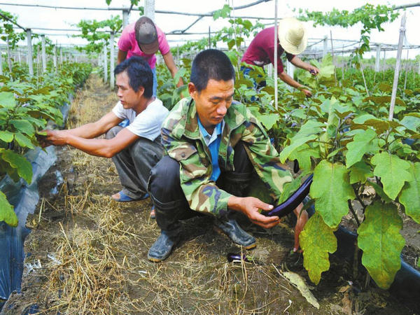 �������������������ӡ�����