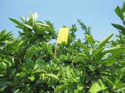 ˶֦2000ĶپƷ԰ڻư塰