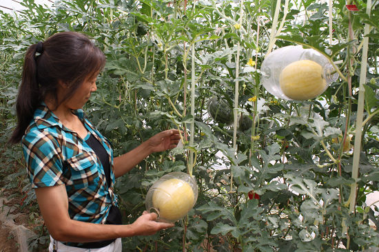 �����ѳ�16.5��Ķ���Ͽ�԰���� ��ֵ����12��Ԫ