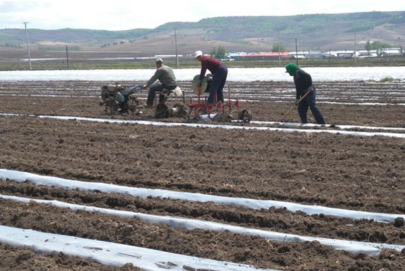 ��������������ת�� ũ��æ