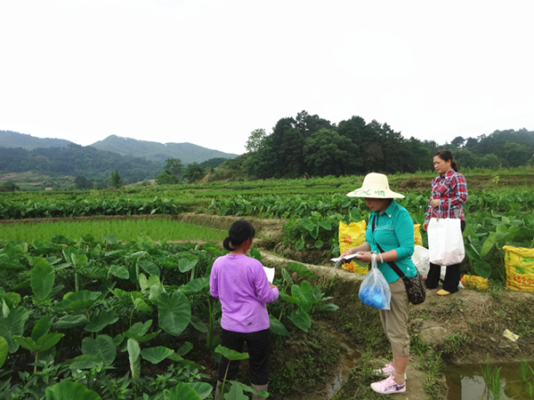 ���������أ��޹����߲˻�����������������