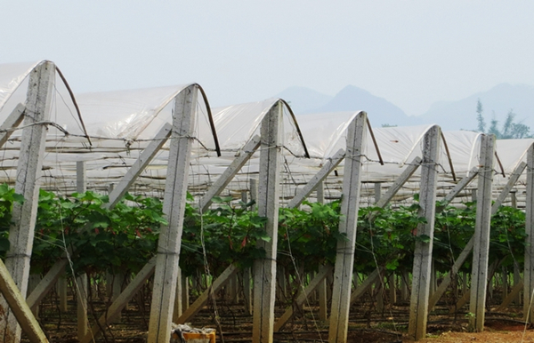 �����������󰲺��������ѷ�������