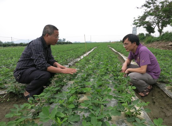 ����������Ĥ��������ϲ��