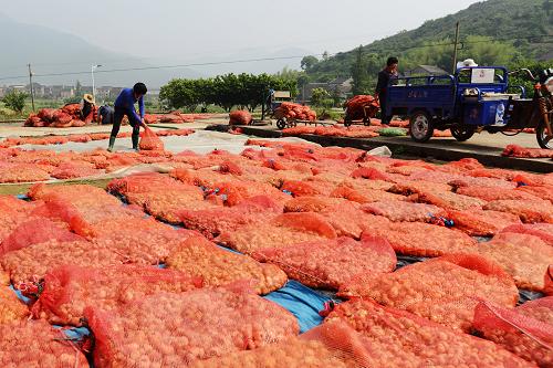 5��20�գ����㽭��ɽ������������һũ����Ʒ������˾�������ڷ�ɹ�չ�������ҩ�ı�ĸ��