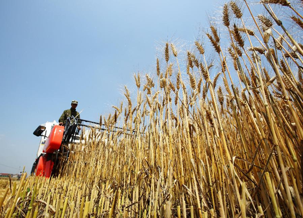 5��20�գ��ո�������������Ҿ������ϴ��ո�С��