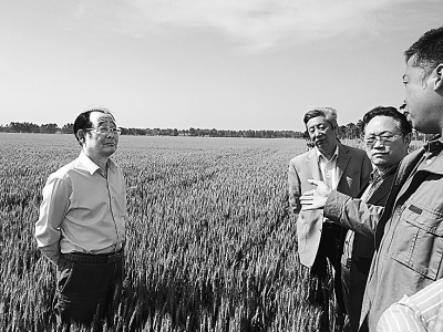 河南西平县:高标准粮田建设 打通科技与农业“最后一公里”